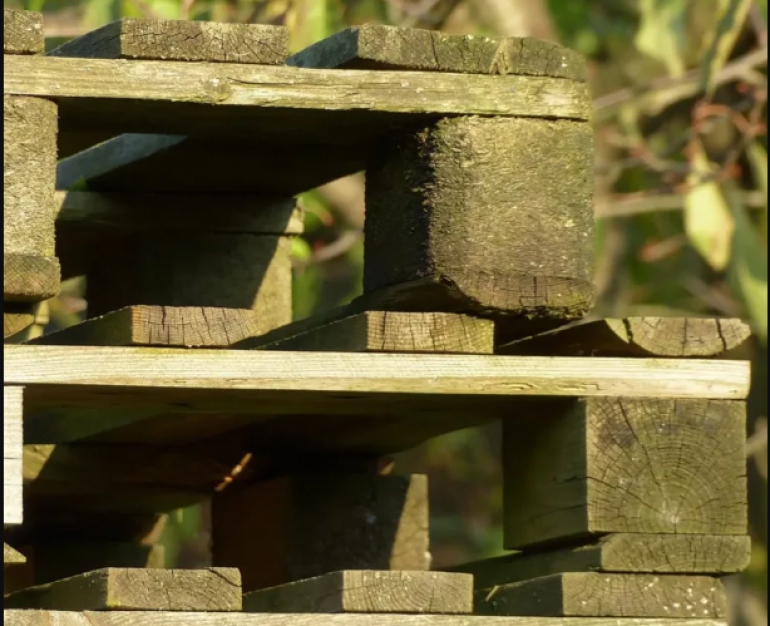 Pallets de madera nuevos vs. de segunda mano